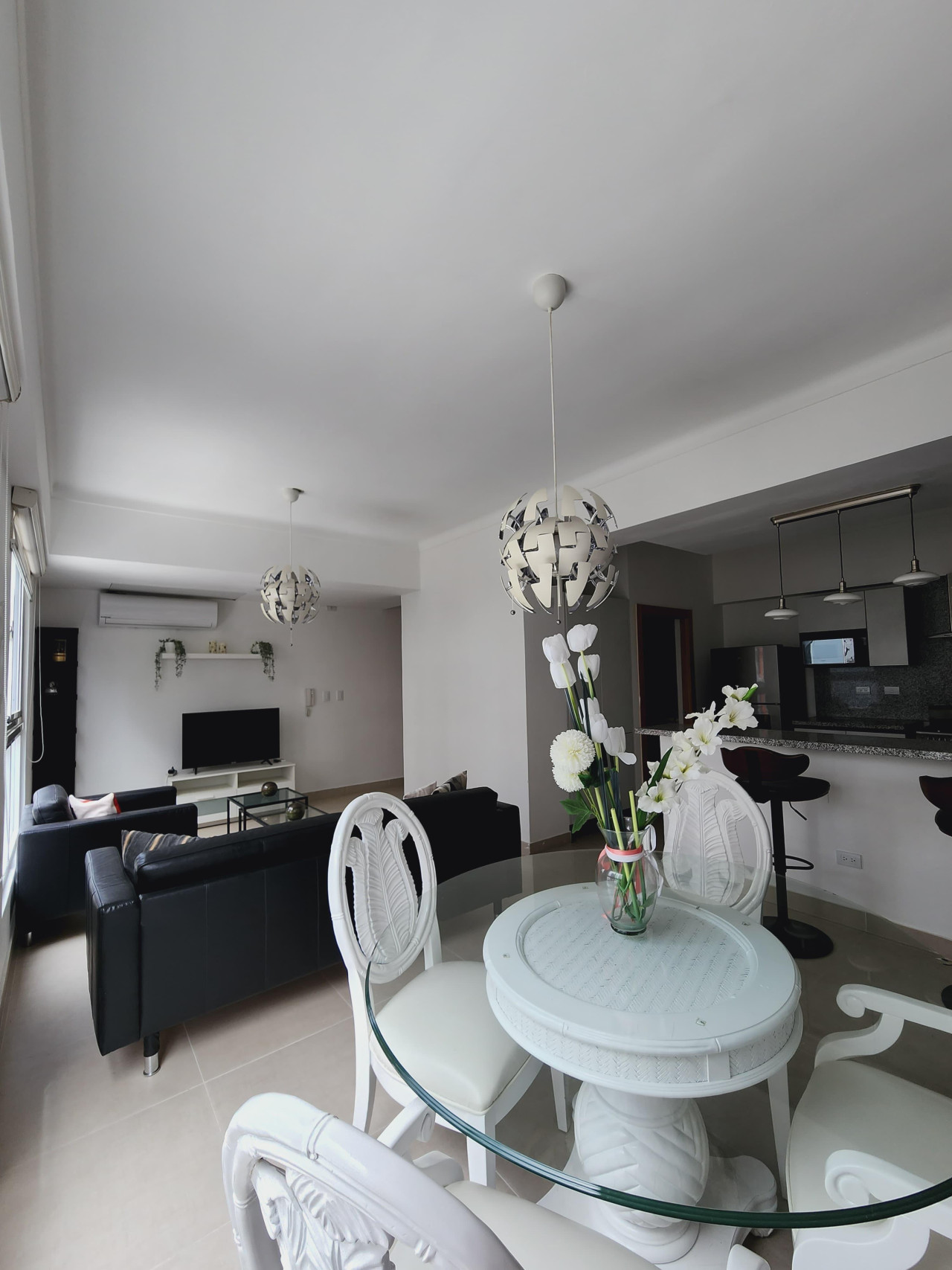 Furnished 2 Bedroom Apartment for Rent in Evaristo Morales