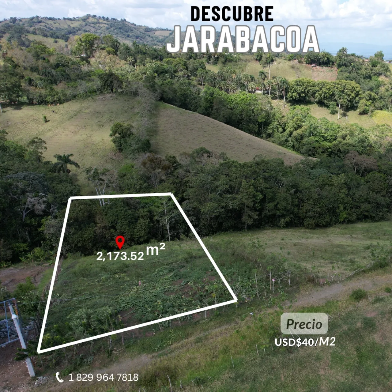 LAND FOR SALE IN JARABACOA photo 3