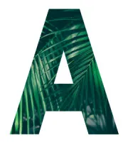 Atlantique Sud Real Estate logo