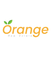 Orange Real Estate logo