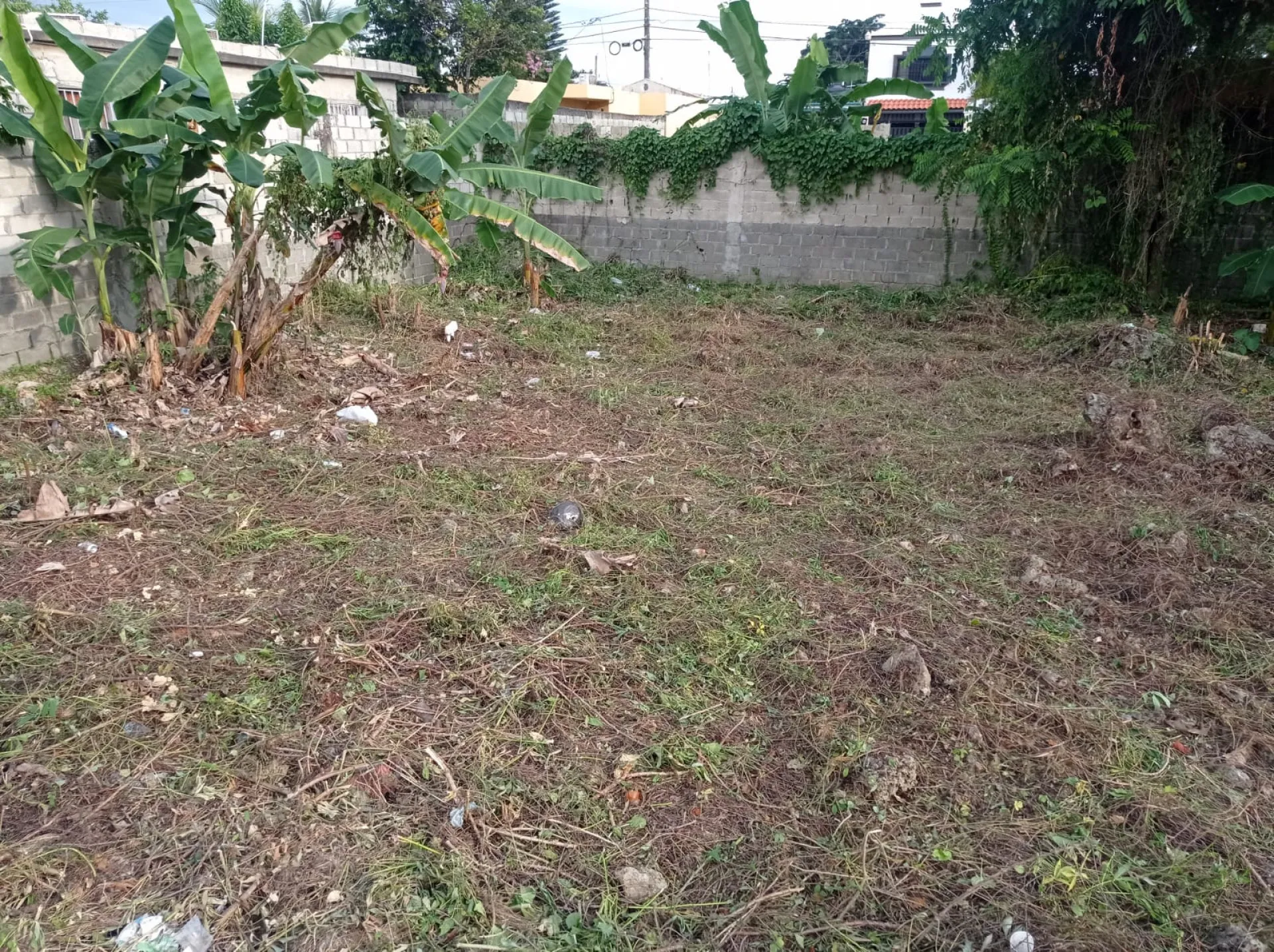 Perfect land for new develpment image 2