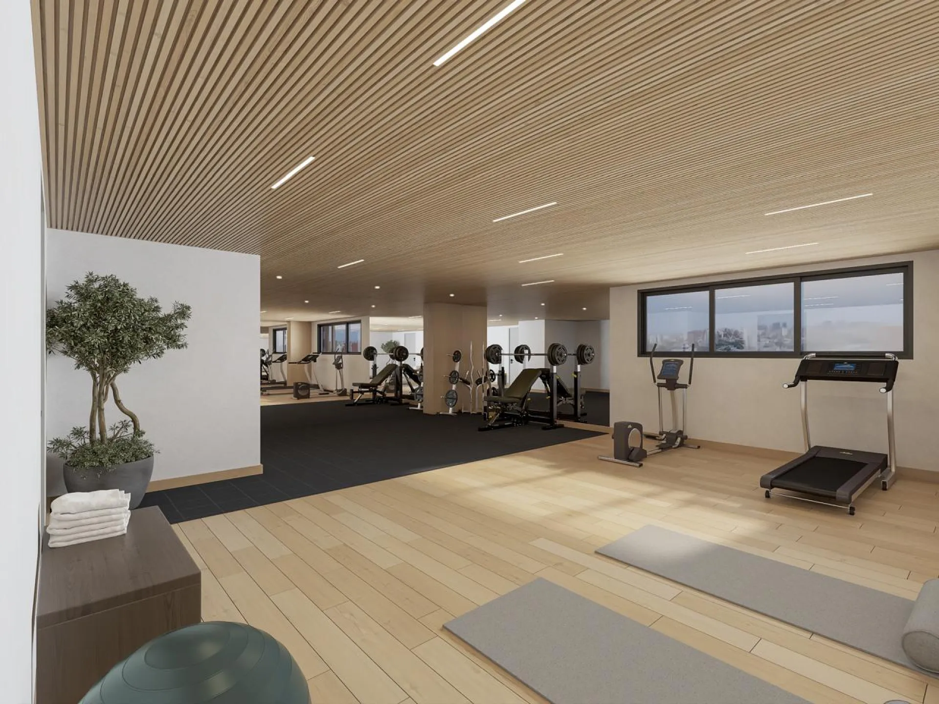 Residential project in the University Zone. image 5