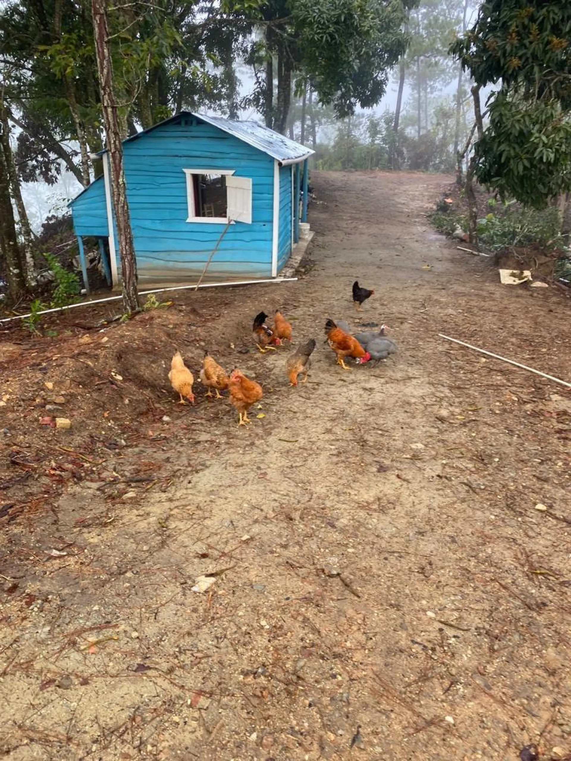 Productive Farm with Tourism Potential in Monción image 4