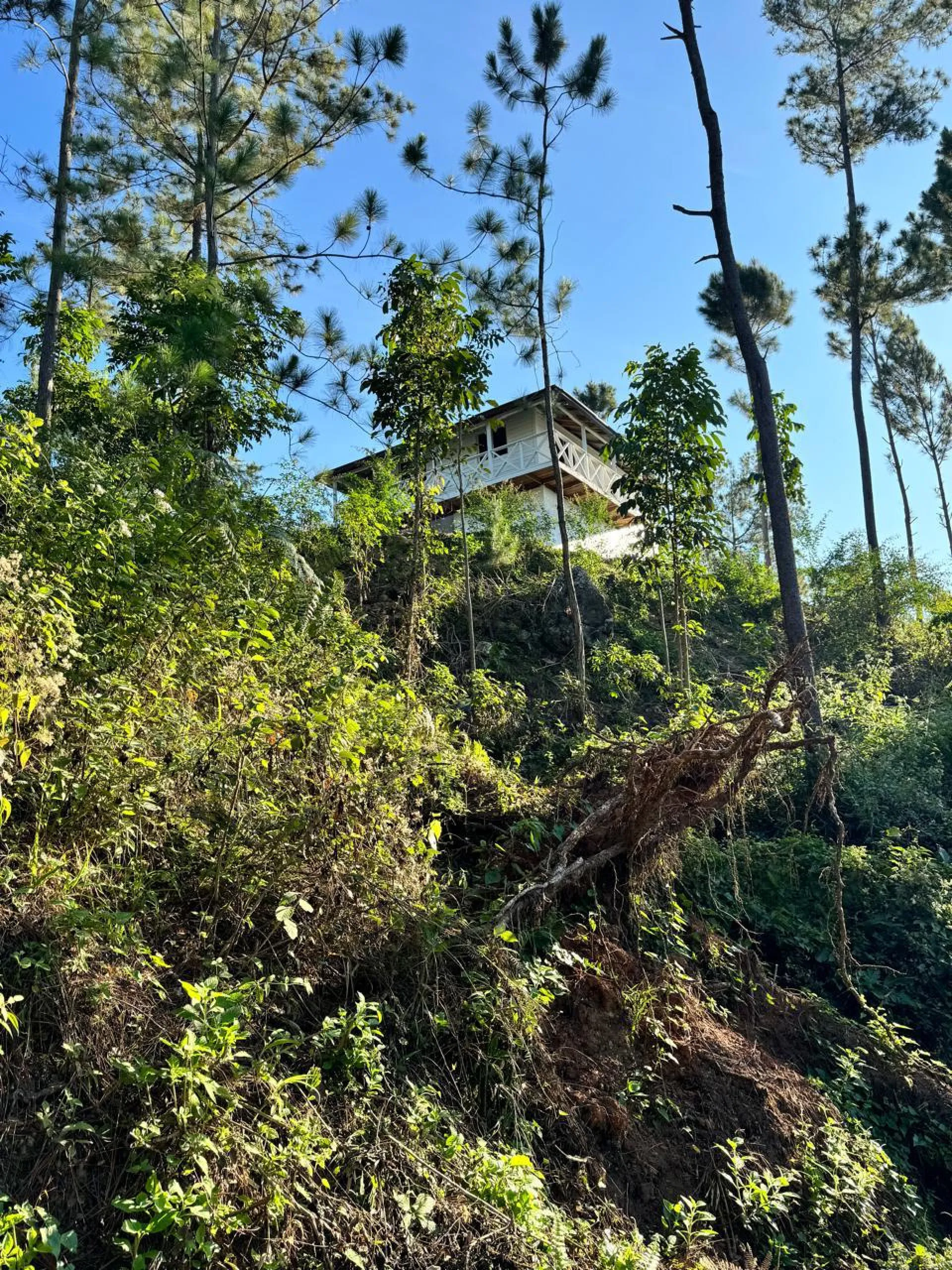 Productive Farm with Tourism Potential in Monción image 3