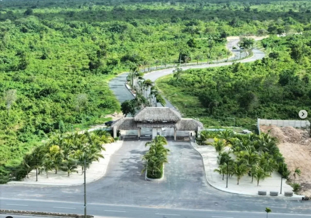 LOT 625 IN PRIMAVERAL III image 7