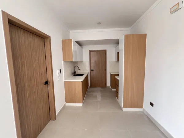 Brand new 1 bedroom plus studio apartment for rent in Evaristo Morales