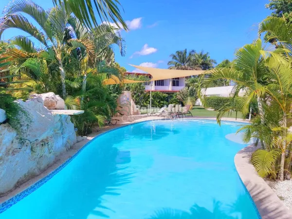 Cozy and Centrally Located Studio in Cabarete