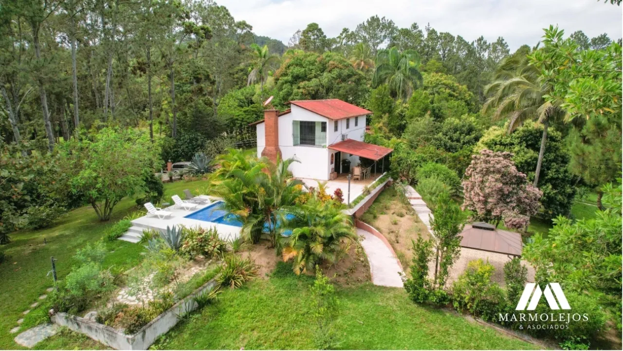 💰 Income-Producing Buena Vista Estate | 3 Villas on 15,700 m² photo 4
