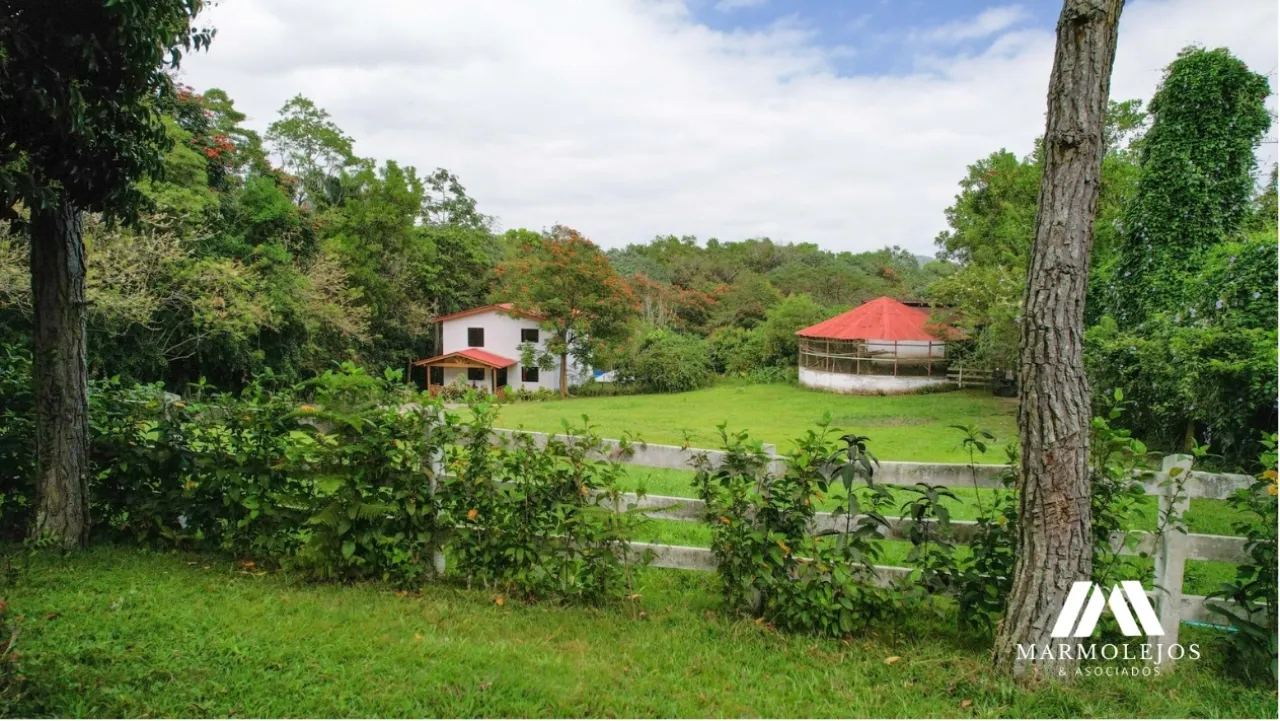 💰 Income-Producing Buena Vista Estate | 3 Villas on 15,700 m²