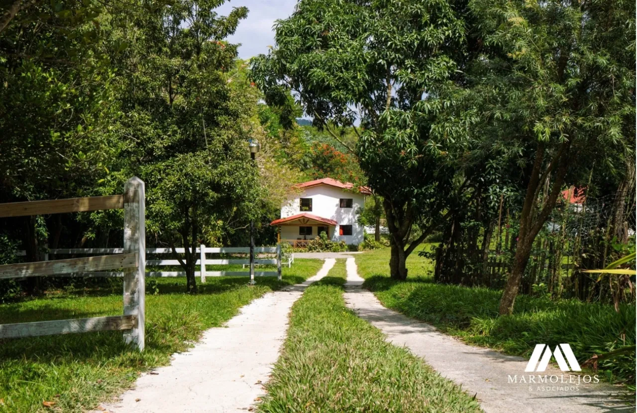 💰 Income-Producing Buena Vista Estate | 3 Villas on 15,700 m²