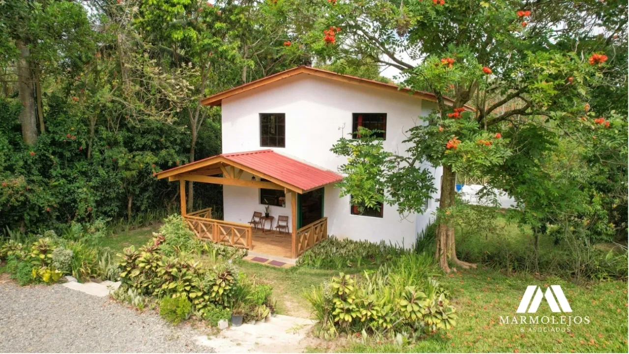 💰 Income-Producing Buena Vista Estate | 3 Villas on 15,700 m²
