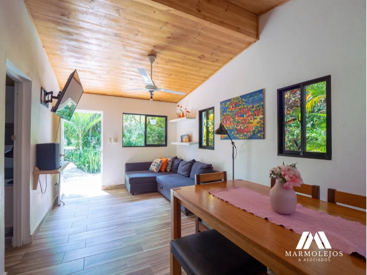 💰 Income-Producing Buena Vista Estate | 3 Villas on 15,700 m²