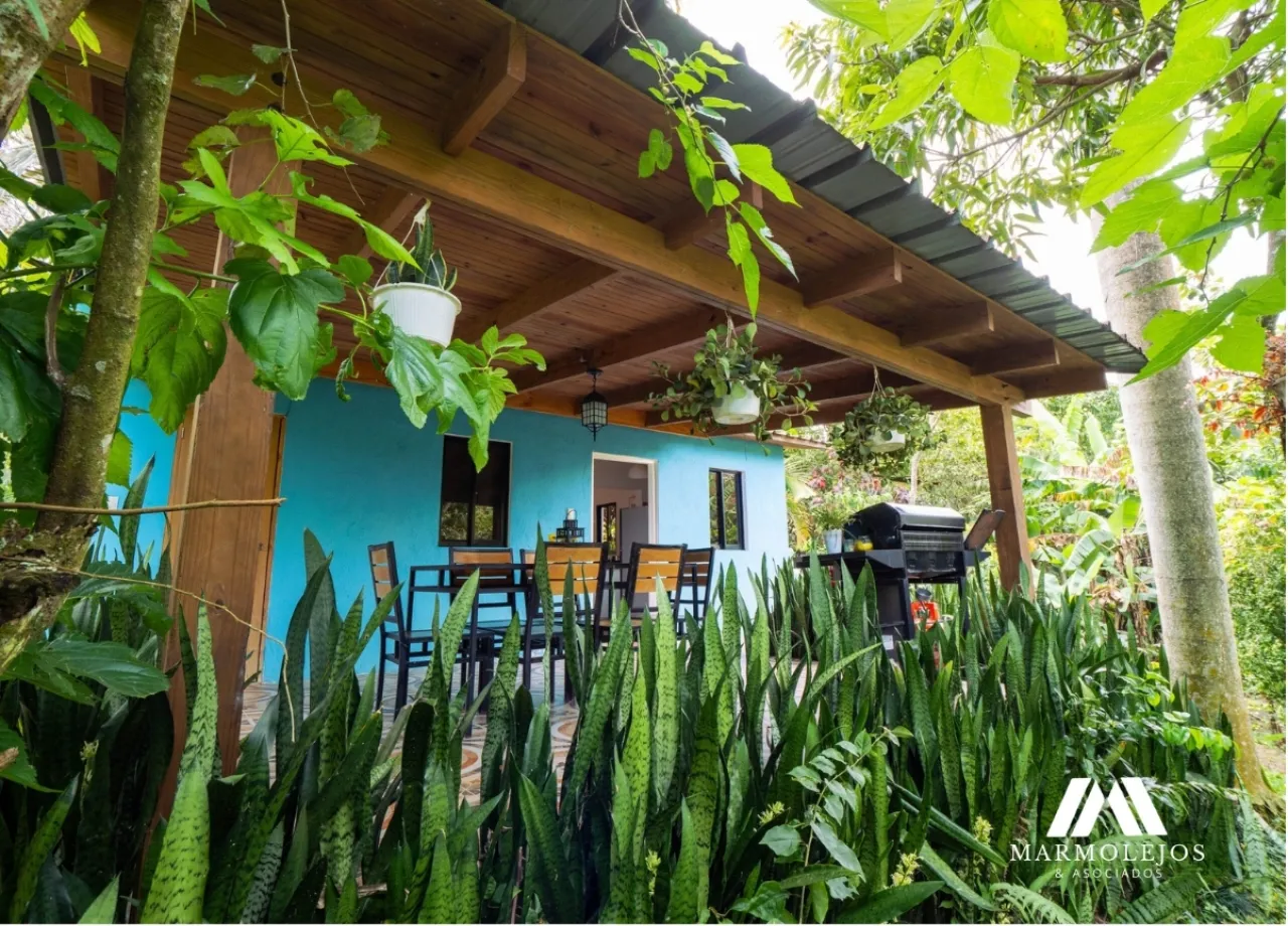 💰 Income-Producing Buena Vista Estate | 3 Villas on 15,700 m²