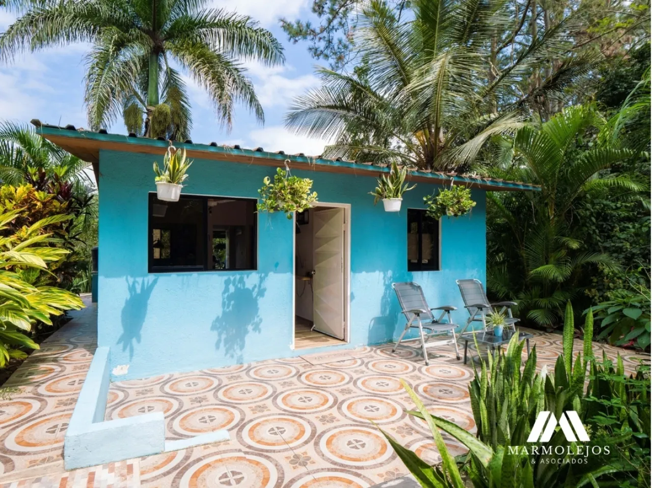 💰 Income-Producing Buena Vista Estate | 3 Villas on 15,700 m²