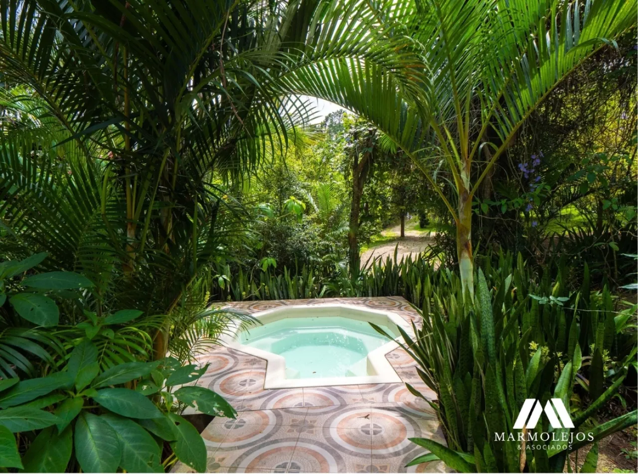 💰 Income-Producing Buena Vista Estate | 3 Villas on 15,700 m²