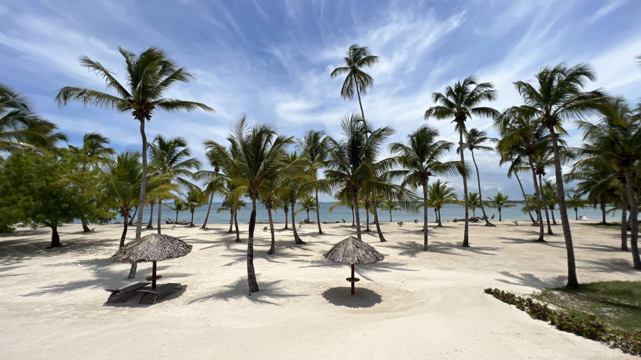 The Last 3 Apartments On The Coast Of the Caribbean, La Romana