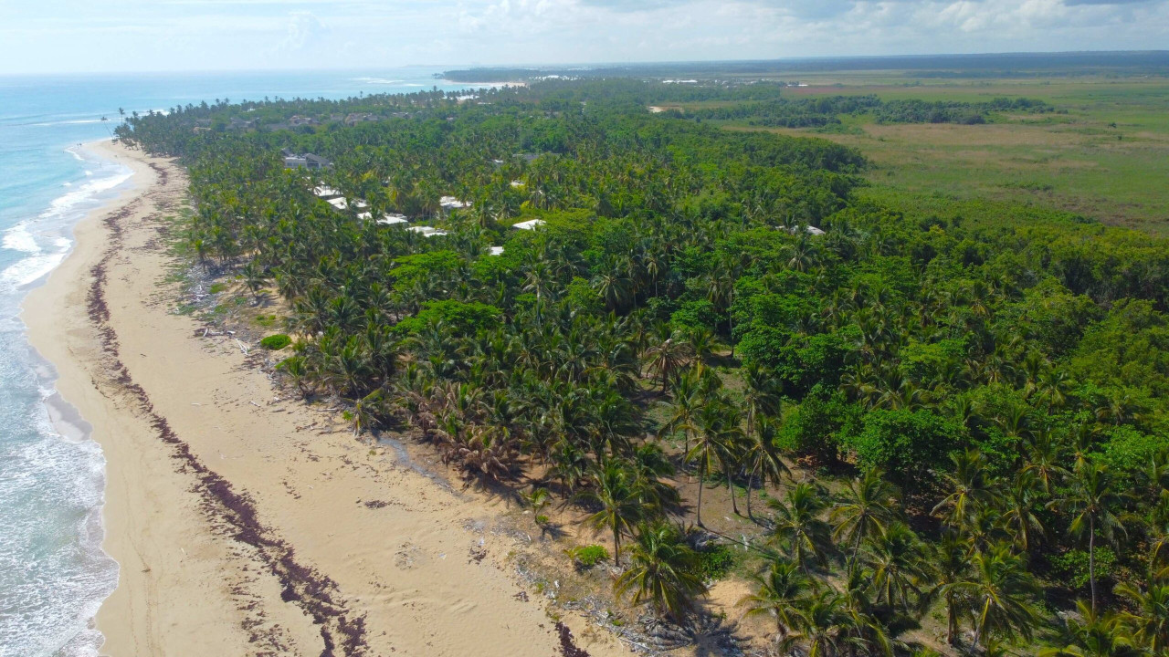 Beach Front Land Lot For Development, Uvero Alto