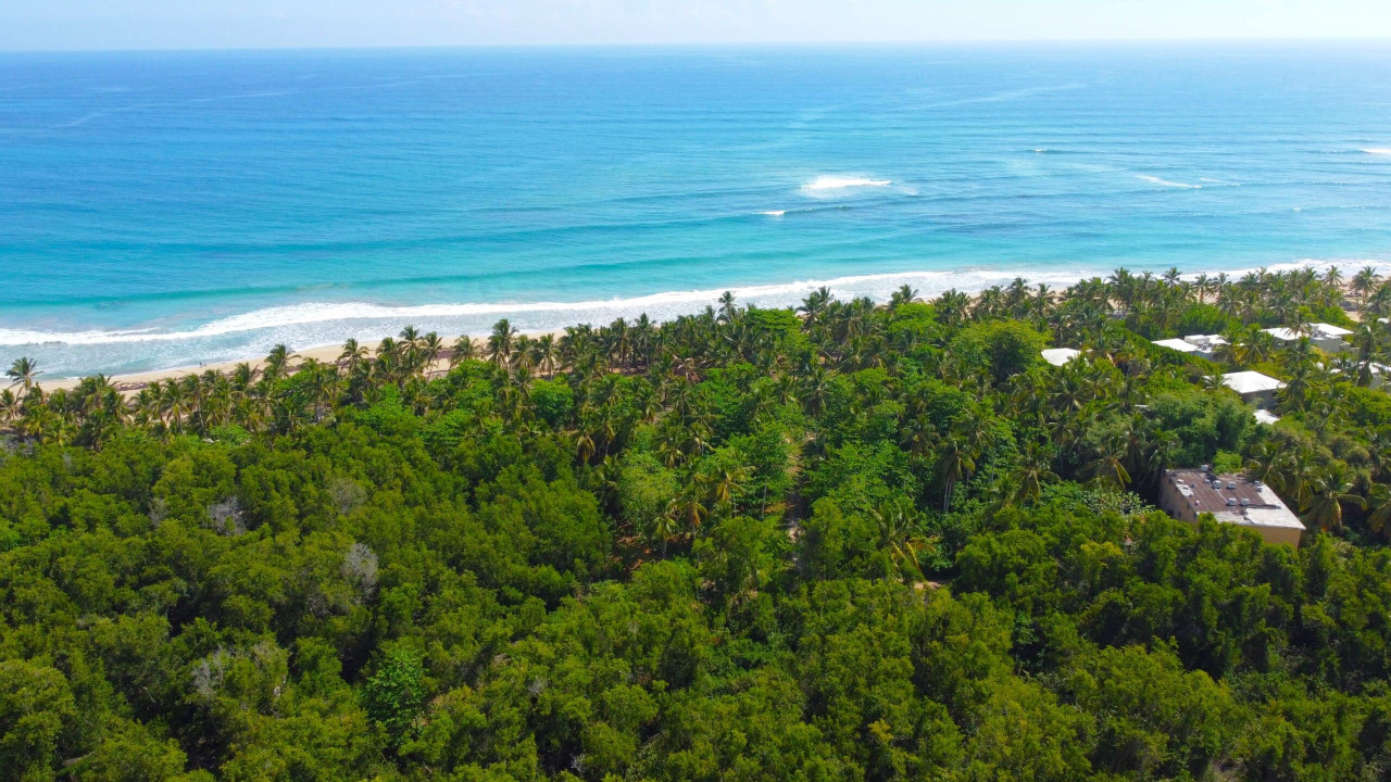 Beach Front Land Lot For Development, Uvero Alto