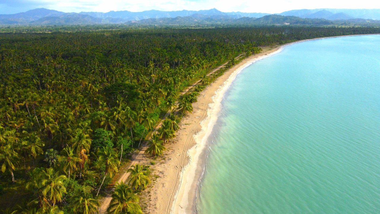 Oceanfront Land With Beach For Hotel Development In Miches