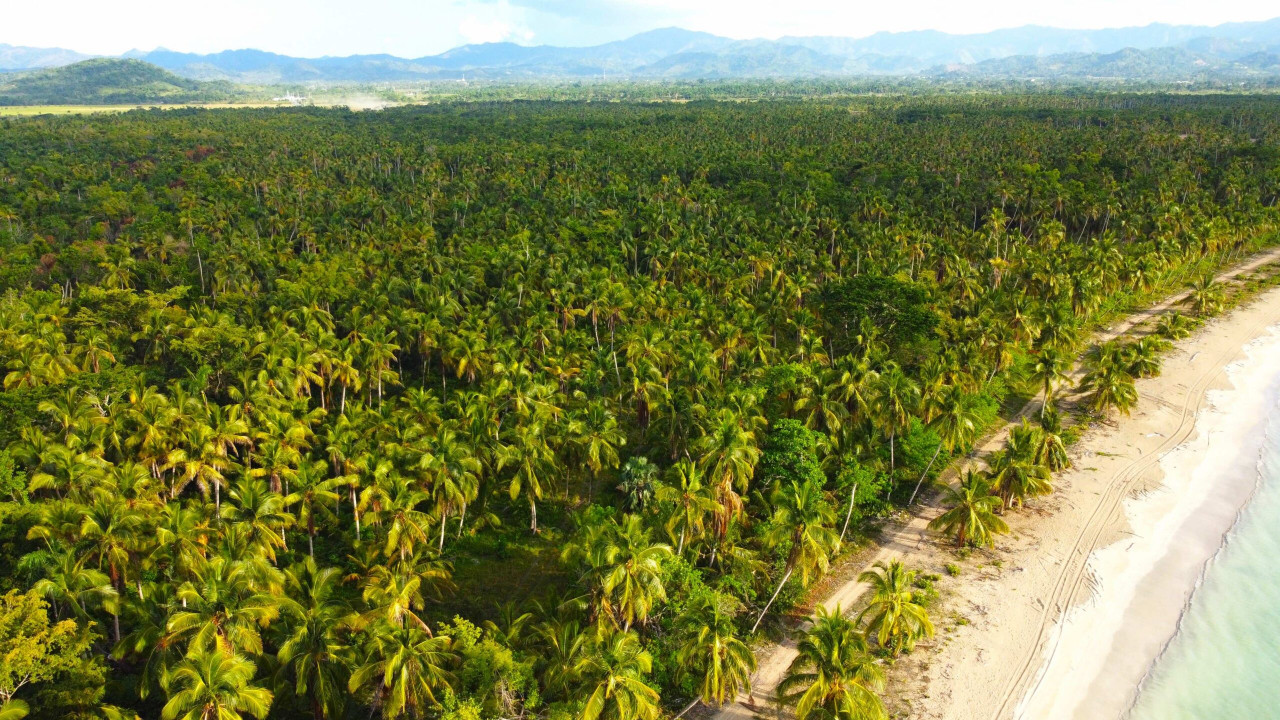 Oceanfront Land With Beach For Hotel Development In Miches