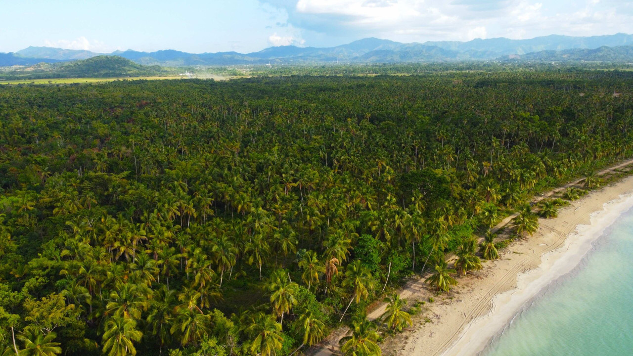 Oceanfront Land With Beach For Hotel Development In Miches