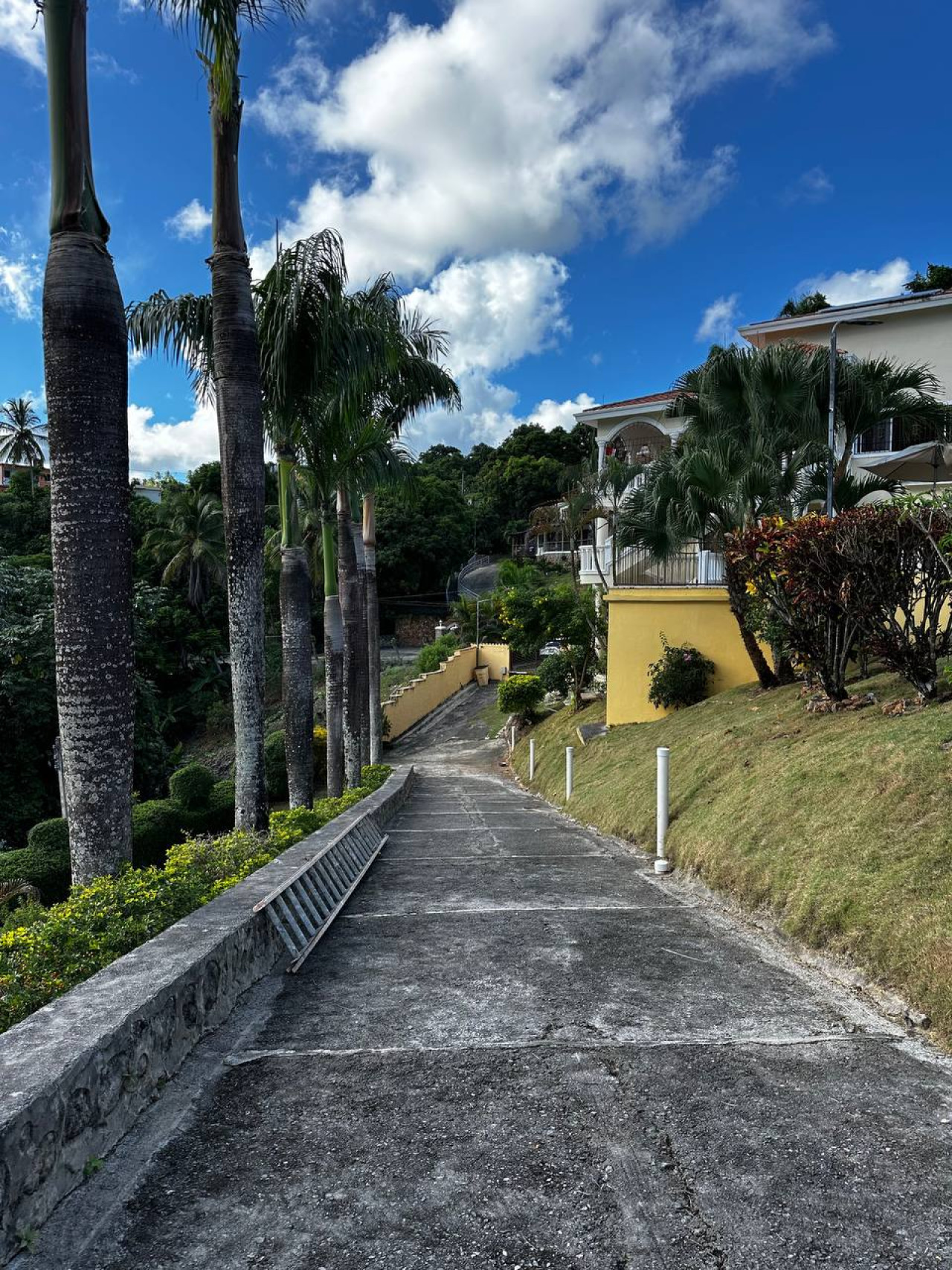 Villa with views of Samaná Marina