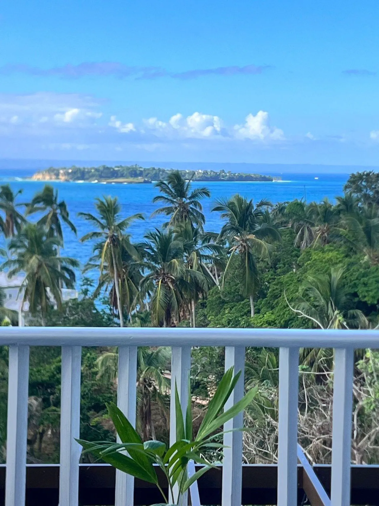 Apartment with incredible sea views and beachfront location