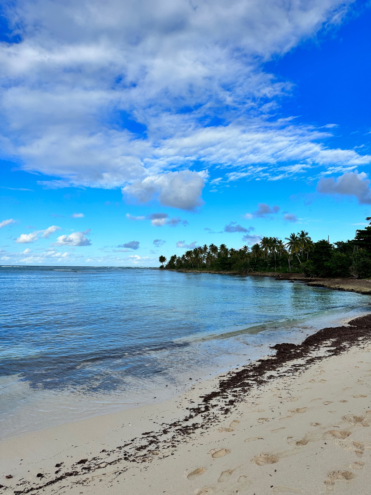 Spacious villa on the ocean photo 2