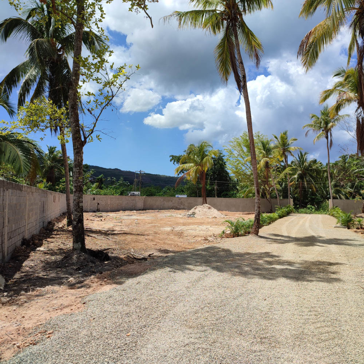 Paradise Awaits: Your Dream Villa Oasis in Coson, Las Terrenas photo 2