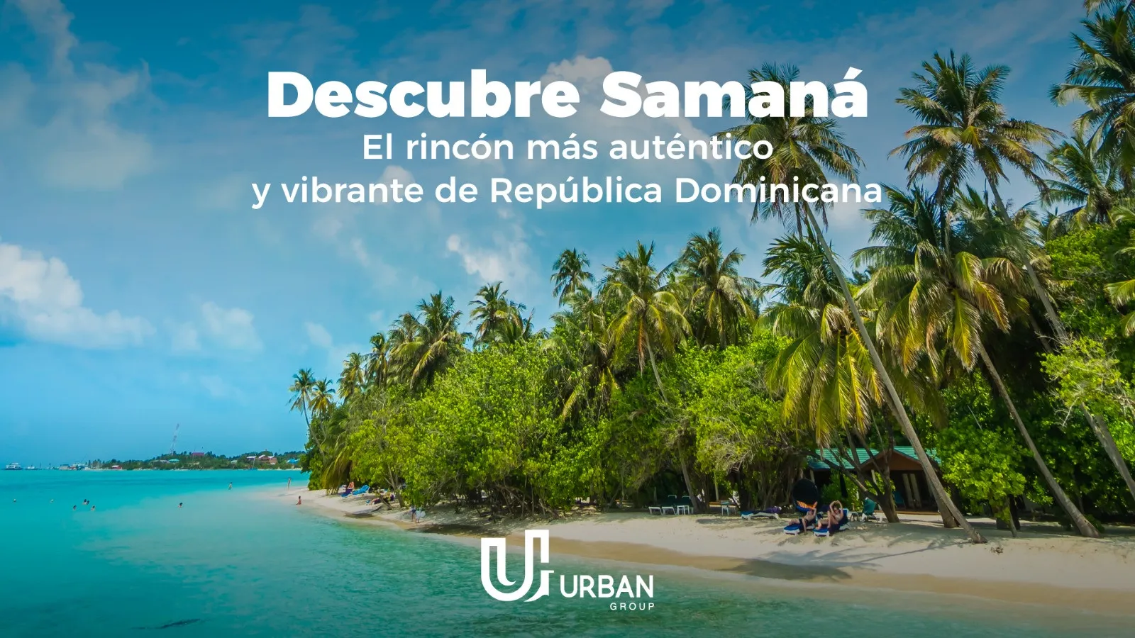 Discover