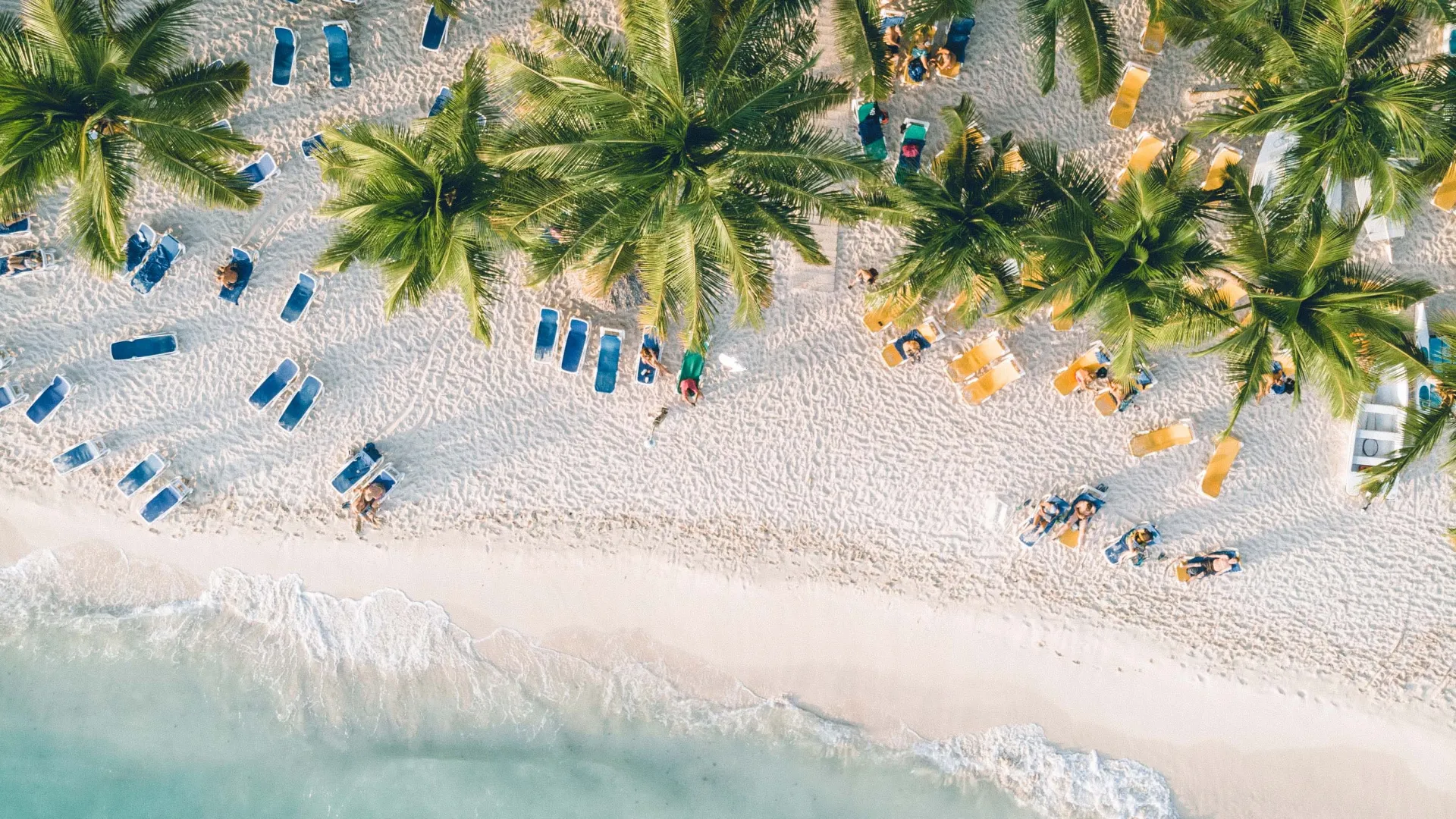 Buy or rent a house in Punta Cana