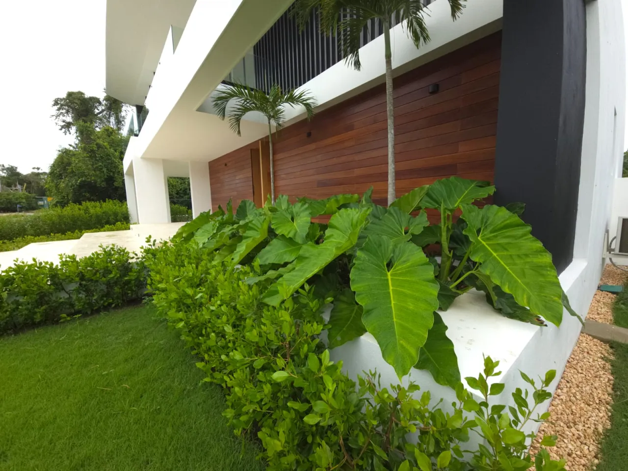 Luxury Villa for Sale in Punta Cana Village | 4 Bedrooms and Private Pool photo 3