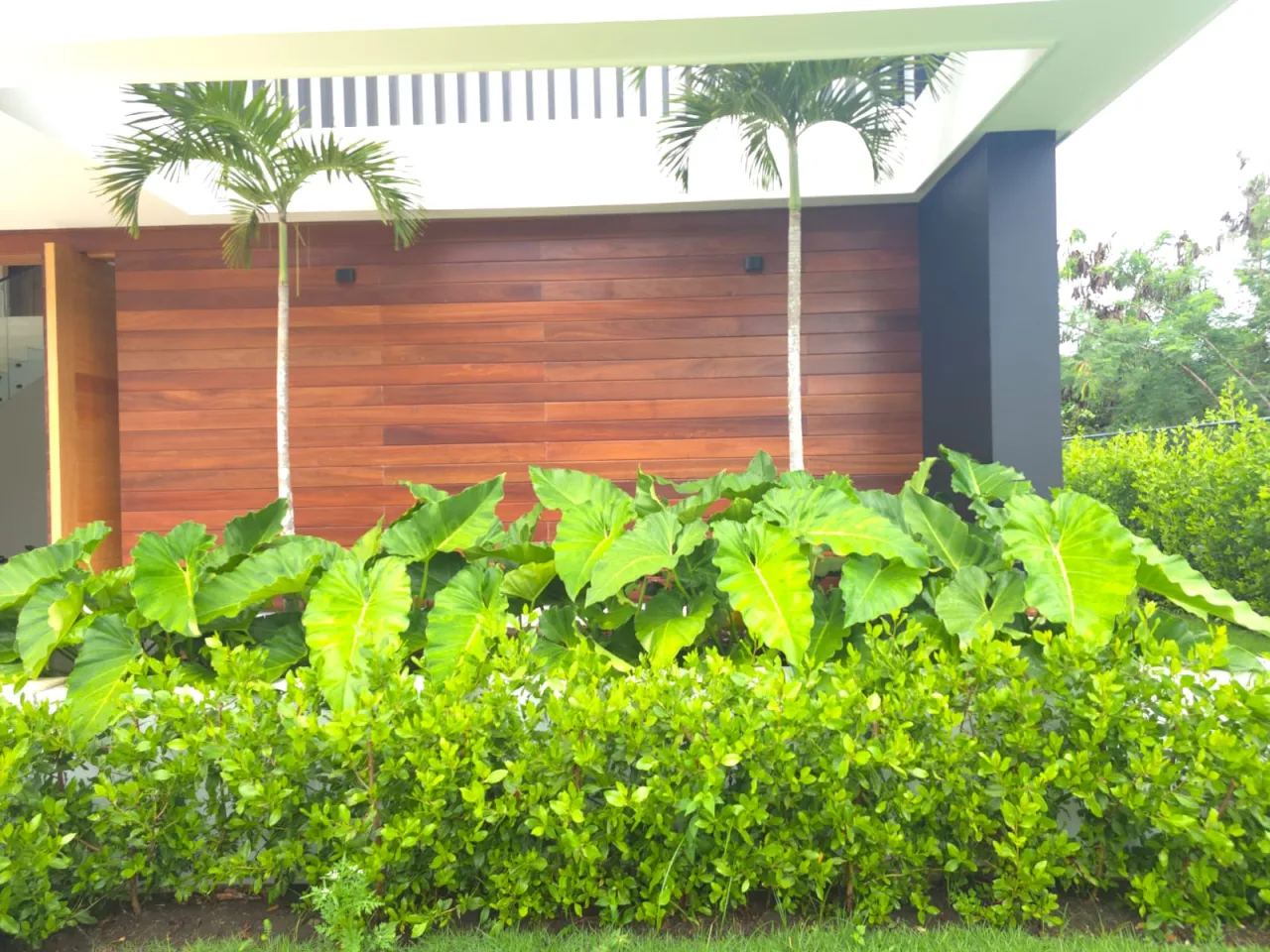 Luxury Villa for Sale in Punta Cana Village | 4 Bedrooms and Private Pool photo 2